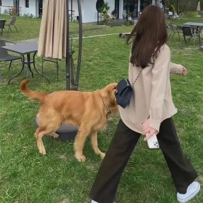 我会找到路